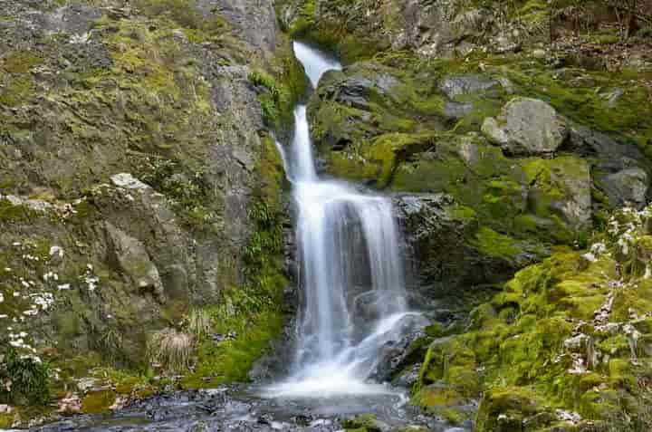 ���΂˂̑�